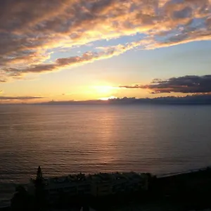 Apartment Shearwaters - Sounds Of The Sea